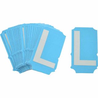 Picture of 6003-L BRA