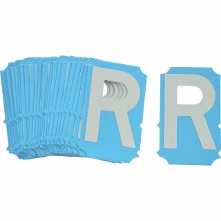 Picture of 6003-R BRA