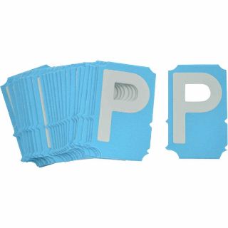 Picture of 6003-P BRA