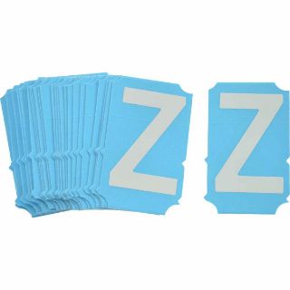 Picture of 6004-Z BRA