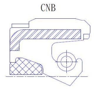 Picture of 27X44X8CNB1W11-BX DIC