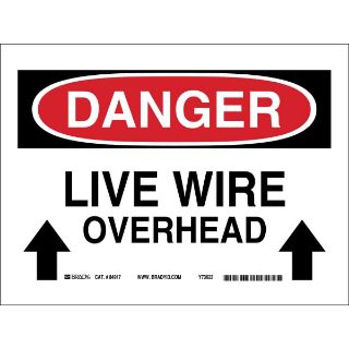 Picture of 69339 BRA