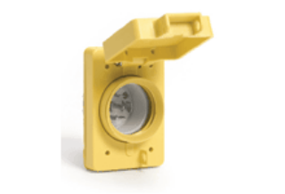 Picture of 66W81 WOO