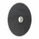 Picture of 40P60 MSG