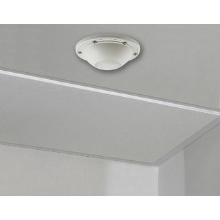 Picture of ACIPE HWD