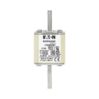 Picture of 170M3067 BSF