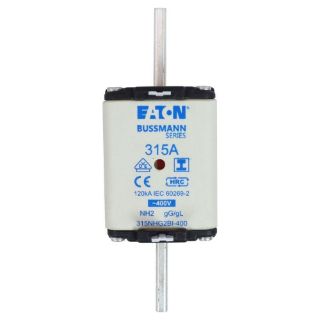 Picture of 315NHG2BI-400 BSF