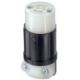 Picture of 16D29-O LEV