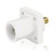 Picture of 16R23-W LEV