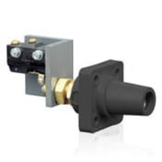 Picture of 16RSW-E LEV