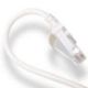 Picture of 6HHOM-1R LEV