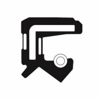 Picture of 62X85X8-R2LS32-S TKN